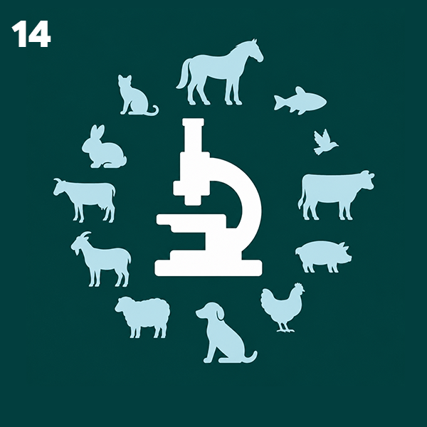 Laboratorios de Diagnóstico en Sanidad Animal
