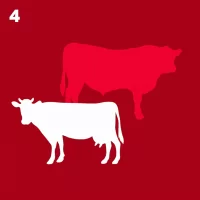 4. Salud y producción bovina