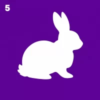 5. Salud y producción cunícola