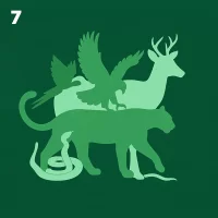 7. Salud y producción de fauna silvestre y animales de zoológico
