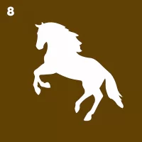 8. Salud y producción equina