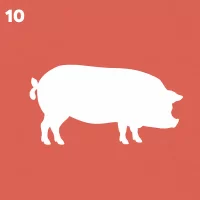 10. Salud y producción porcina