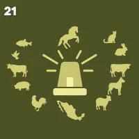21. Vigilancia epidemiológica