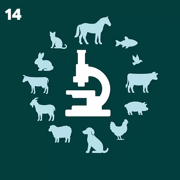14. Laboratorios de diagnóstico en sanidad animal