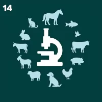 14. Laboratorios de diagnóstico en sanidad animal