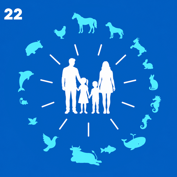 ZOONOSIS