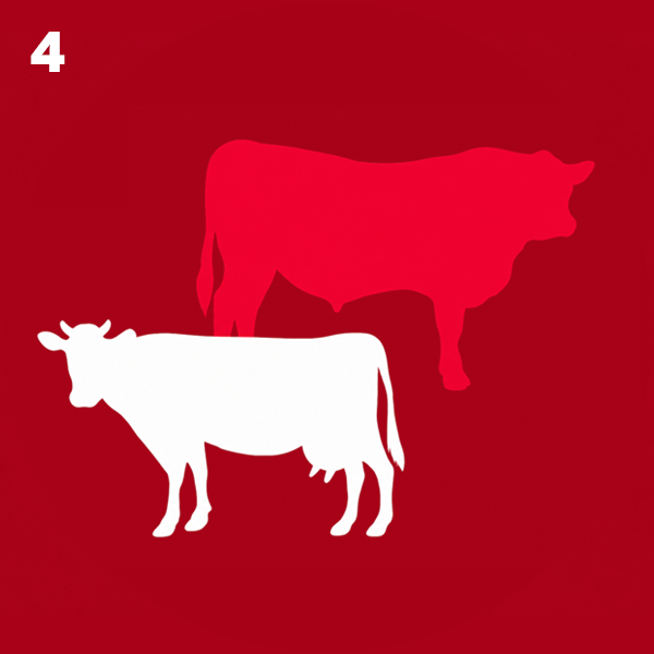 SALUD Y PRODUCCIÓN BOVINA