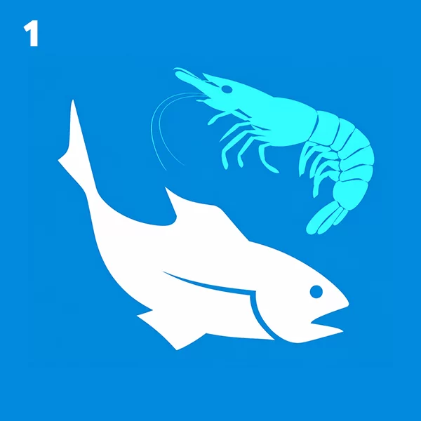 SALUD Y PRODUCCIÓN ACUÍCOLA